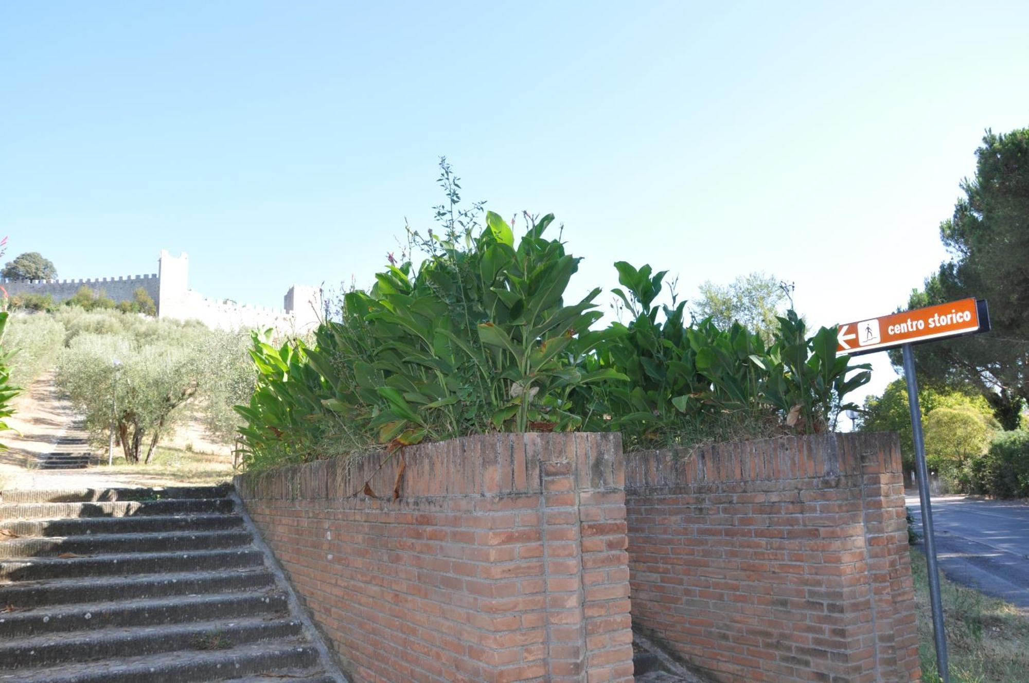 Residence Al Lago Castiglione del Lago Ngoại thất bức ảnh